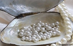 Designer Pearls In Shell