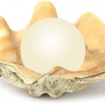 Real Pearl In Oyster Shell